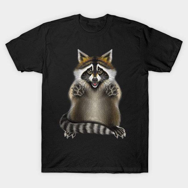 Raccoon by Artardishop